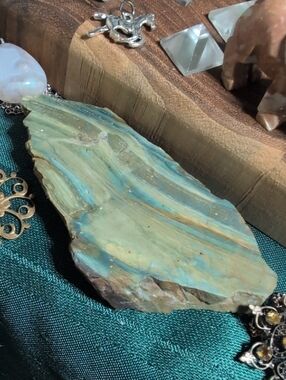 Small Bog Wood Slice